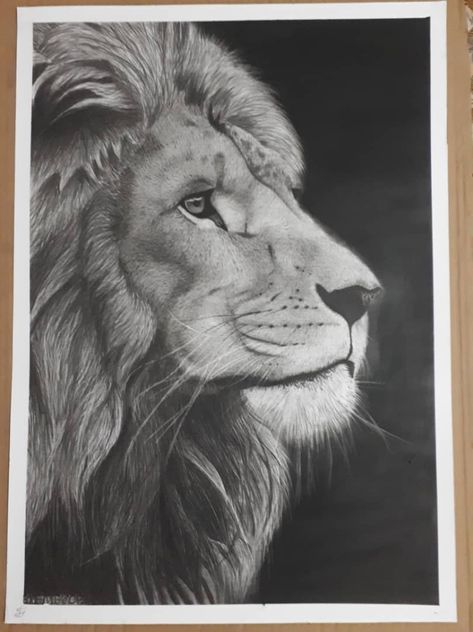 Lion Side Profile Drawing, Lion Side Profile, Lion Profile, Side Profile Drawing, Tattoo Side, Lion Art Tattoo, Profile Drawing, Side Tattoos, Lion Art