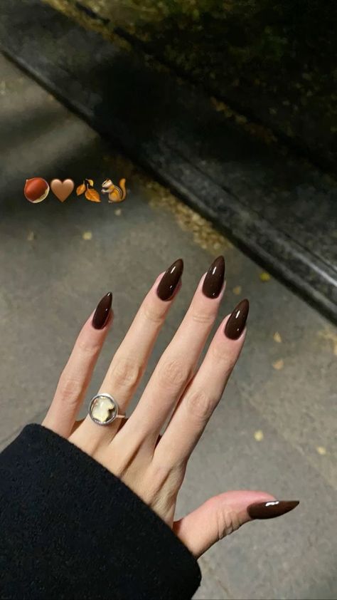 Dark Brown Nails Almond Shape, Brown French Manicure Almond, Dark Brown Oval Nails, Dark Chocolate Nails Design, Natural Almond Nails Fall, Brown Almond Nails For Fall, Dark Brown Nail Ideas, Dark Brown Sparkle Nails, Brown Nail Inspo Almond