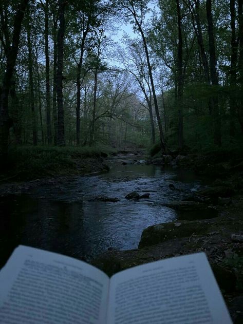 Russian Novels Aesthetic, Fyodor Dostoevsky Aesthetic, Raskolnikov Aesthetic, Forest Spirit Aesthetic, Dark River Aesthetic, Forest With Water, Fyodor Dostoyevsky Aesthetic, Forest Aesthetic Dark, Dostoyevsky Aesthetic