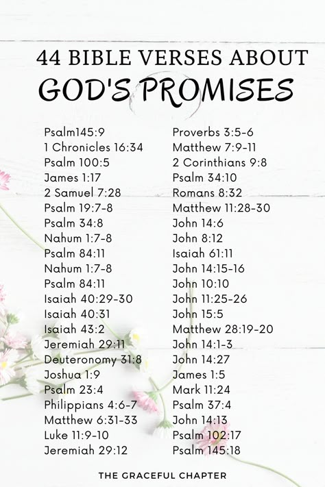 Bible Verse About Gods Promise, Bible Verse Promise Of God, Promise Verses From Bible, Bible Verse List Scriptures, Biblical Promises Scriptures, Bible Verse For Finding Love, God’s Promises Verses, Scripture Bible, Gods Promises Quotes Faith