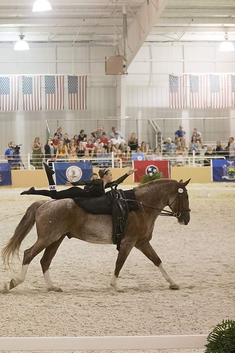 Equestrian Vaulting Moves, Vaulting Horses, Equestrian Vaulting, Vaulting Equestrian, Horse Vaulting, Circus Horse, Riding Aesthetic, Trick Riding, Cowgirl Stuff