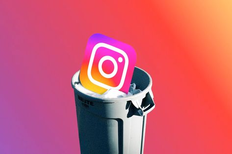 Instagram Deleted My Account Without Warning—and Then Refused to Give Me My Pictures Social Media Negative, Without Warning, Arizona State University, Data Breach, House Of Representatives, Social Media Site, Public Policy, My Account, My Pictures