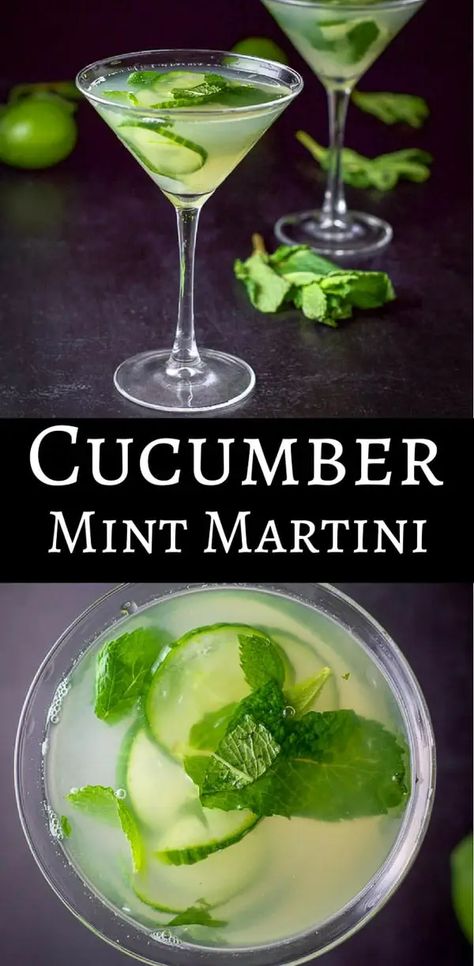 Summer Martini Recipes, Cucumber Martini Recipe, Mint Martini, Summer Martinis, Cucumber Martini, Comfort Drinks, Mojito Recipes, Mixology Recipes, Seasonal Cocktails