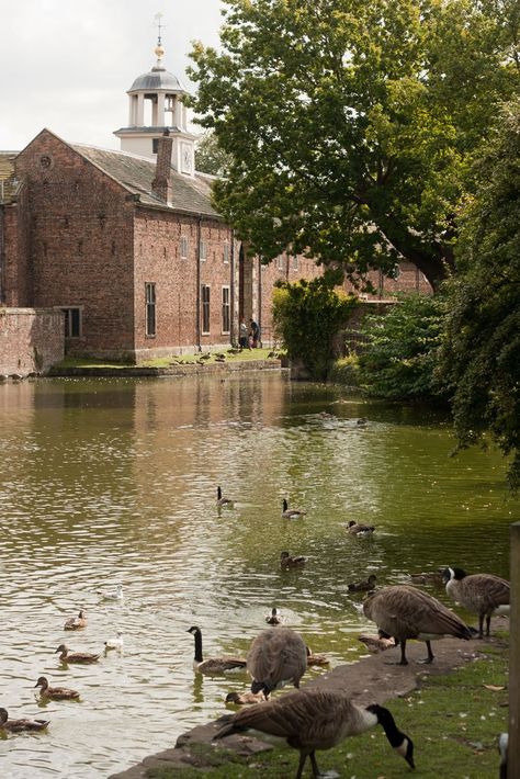 Our review and top tips for visiting Dunham Massey particularly with young children. A beautiful National Trust, family friendly day out in Cheshire. Persona Inspiration, Dunham Massey, Irish Country House, Sissinghurst Castle, Irish Country, Nanny Dog, Small Breed Dogs, Dog Fun, English Village