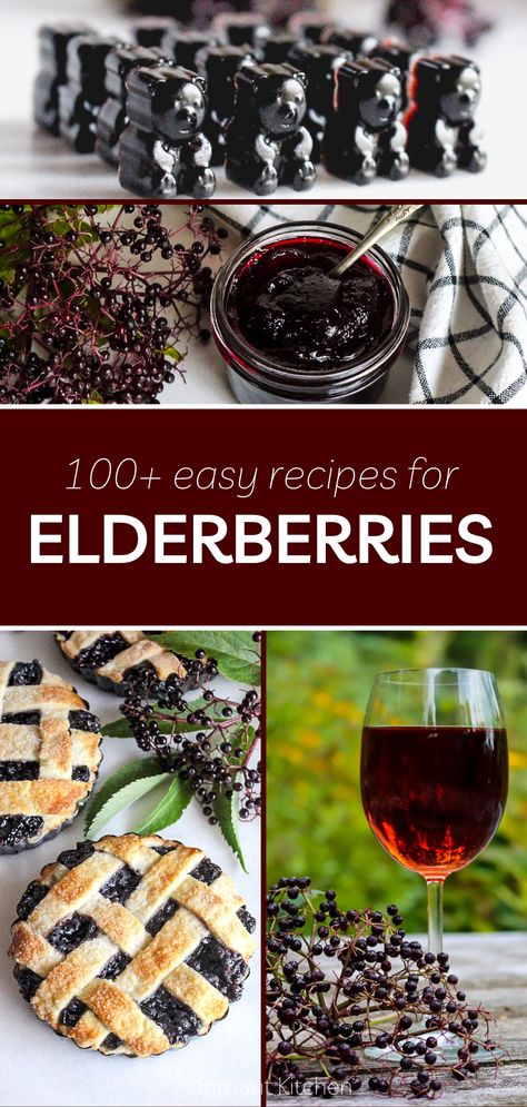 Elderberry Drink Recipes, Elderberry Popsicles, Elderberry Honey, Elderberry Benefits, Elderberry Tea, Elderberry Recipes, Elderberry Gummies, Foraging Recipes, Recipes For Desserts