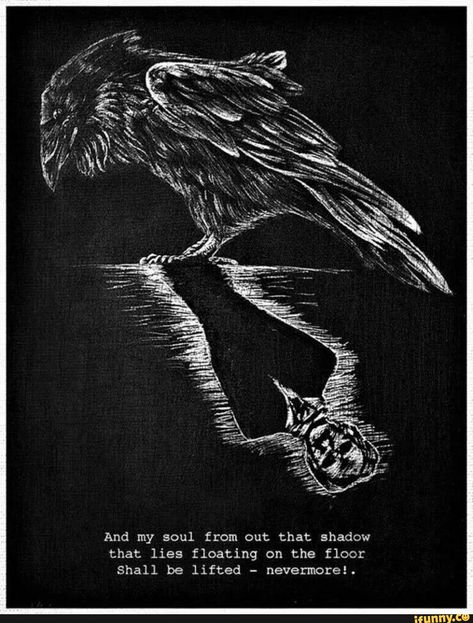 Not interested in the Poe reflection but I like the white-on-black art style and I think we should consider that as the look for our website (with hints of color) Lost In Your Mind, Poe Aesthetic, Edgar Allen Poe Art, Allen Poe Quotes, Edgar Allen Poe Quotes, Poe Boy, E A Poe, Quoth The Raven Nevermore, Poe Quotes