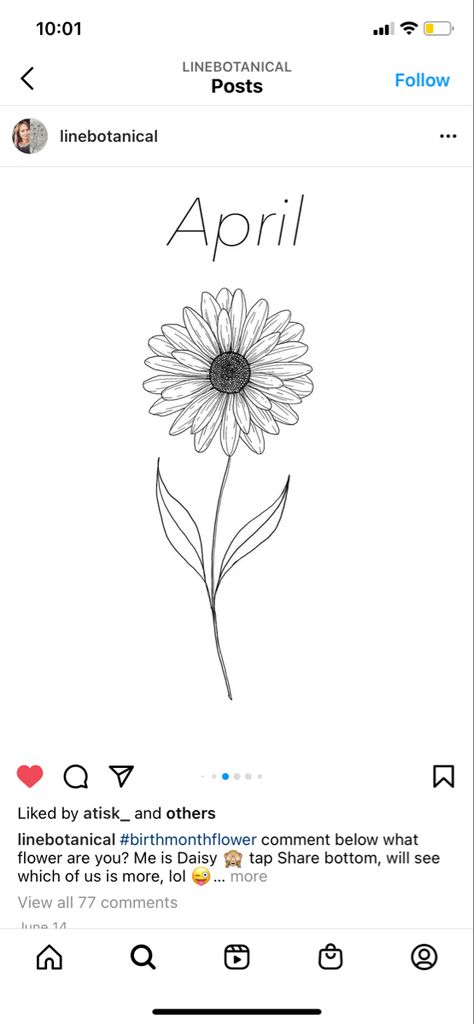 Detailed Daisy Tattoo, Single Daisy Drawing, Birth Flower Daisy Tattoo, Daisy Mandala Tattoo Design, Daisy April Tattoo, Daisy Sketch Tattoo, Daisy Tattoo On Shoulder, Daisy Tattoo Drawing, Single Daisy Tattoo