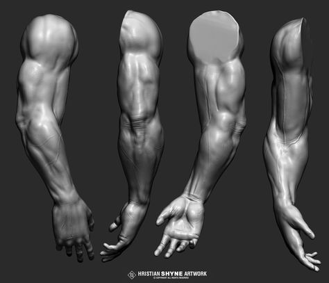 Male arm muscles study by Hristian Ivanov | Figurative | 3D | CGSociety Muscles Study, Zbrush Anatomy, Arm Anatomy, Human Muscle Anatomy, 3d Anatomy, 3d Karakter, Man Anatomy, Anatomy Sculpture, Human Anatomy Drawing