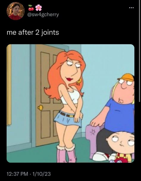 Family Guy Meme, I Griffin, Lois Griffin, Family Guy Funny Moments, Stewie Griffin, Room Prints, American Dad, Adult Swim, Really Funny Pictures