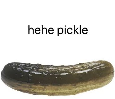 Pickle Aesthetic, Pickles Aesthetic, I Love Pickles, Pickle Everything, Pickle Quotes, Pickle Picture, Pickles Meme Funny, I Dont Have Friends, Silly Pictures