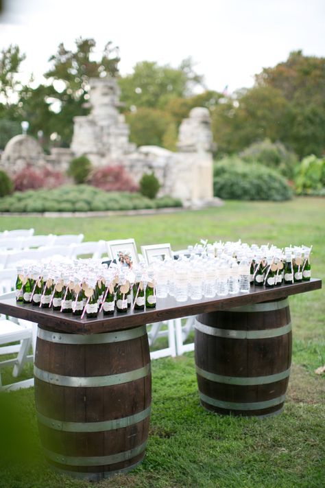 Wedding Ceremony Drink Station, Drinks At Wedding, Reception Chandelier, Wedding Drinks Reception, Wedding Drink Station, Rustic Glam Wedding, Wedding Signature Drinks, Earthy Palette, Backyard Reception