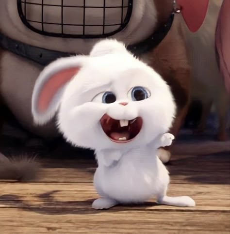 Snowball Rabbit Profile Picture, Snowball Rabbit Icon, Disney Characters Zootopia, Secret Life Of Pets Snowball, Snowball Rabbit, Animated Rabbit, Rabbit Icon, Cartoons Dp, Bunny Cartoon