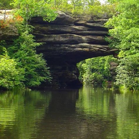 12 whimsical places to visit in Tennessee - Tennessee Vacation Unique Places To Stay In Tennessee, Beautiful Places In Tennessee, Places To See In Tennessee, Best Places To Visit In Tennessee, Most Beautiful Places In Tennessee, Day Trips From Knoxville Tn, Reelfoot Lake Tennessee, Ocoee Tennessee, Western Tennessee