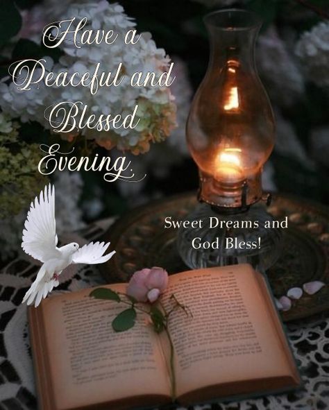 Blessed Evening Quotes, Blessed Evening, Good Evening Quotes, Good Night Pictures, Have A Blessed Night, Thursday Pictures, Good Night To You, Good Evening Messages, Evening Pictures