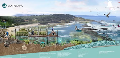 Salmon Habitat, Art Trophy, Habitat Restoration, Water Restoration, Landscape Architecture Presentation, Flood Mitigation, Water City, Flood Protection, Wetland Park