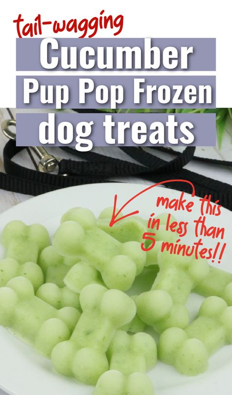 Frozen Dog Treats Recipes, Pup Treats, Foods Dogs Can Eat, Pet Treats Recipes, Dog Treats Homemade Easy, Easy Dog Treat Recipes, Animal Treats, Frozen Dog Treats, Dog Biscuit Recipes