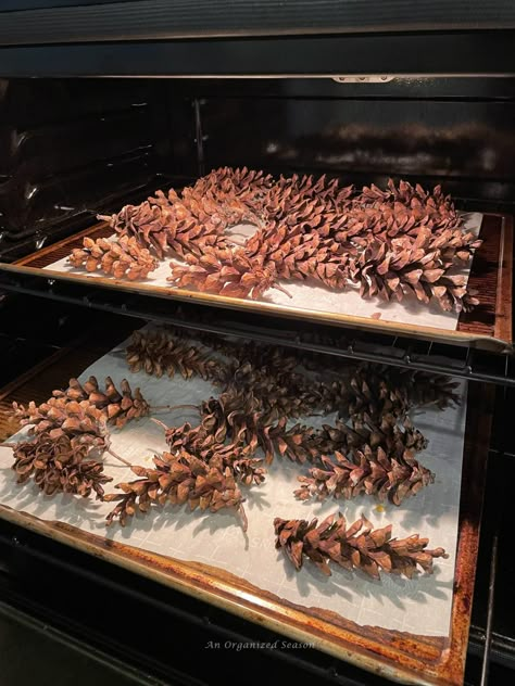 How to Preserve Pine Cones for Indoor Use - An Organized Season Cleaning Pinecones, Pinecone Diy, Giant Pine Cones, Diy Table Decorations, Christmas Tradition Ideas, Sugar Pine Cones, Pinecone Ideas, Christian Christmas Crafts, Pine Cone Decor