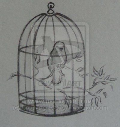 Birdcage Drawing, Bird Cage Art, Cage Art, White Bird Tattoos, Birdcage Tattoo, Small Bird Tattoos, Red Bird Tattoos, Tiny Bird Tattoos, Bird In A Cage