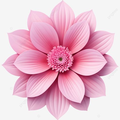 realistic beautiful pink flowers illustration element flowers png Png Flowers Design, Pink Flower Png, Flower Png Transparent, Flower Clip Art, Single Flowers, Flower Png Images, Flower Pattern Drawing, Element Illustration, Hot Pink Flowers