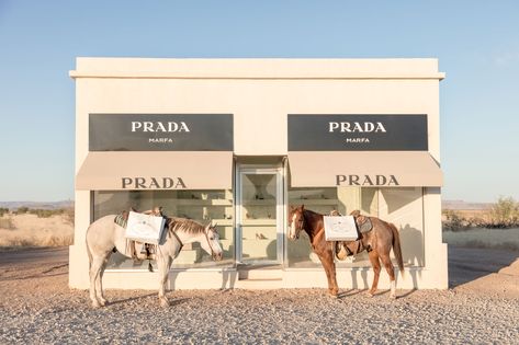 10 Prints to Complete Your Modern Fall Décor | Gray Malin Prada Store, Coyote Ugly, Midnight Cowboy, Prada Marfa, Marfa Texas, Dog Breeding, Gray Malin, Photography Themes, Harbour Island