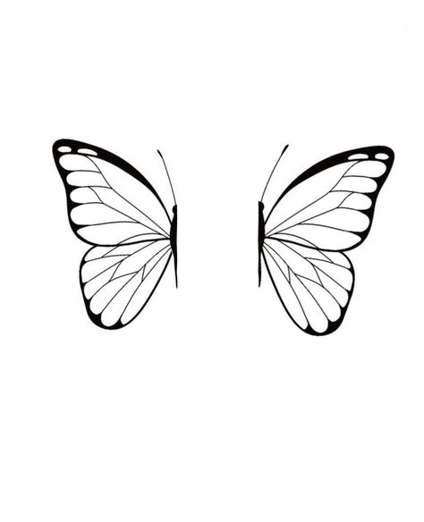 Simple Butterfly Wings Tattoo, Butterfly Wing Outline, Butterfly Wings Outline, Butterfly Wing Sketch, Mini Butterfly Drawing, Half Butterfly Drawing, Butterfly Wing Drawing, Monarch Butterfly Outline, Butterfly Tattoo Template