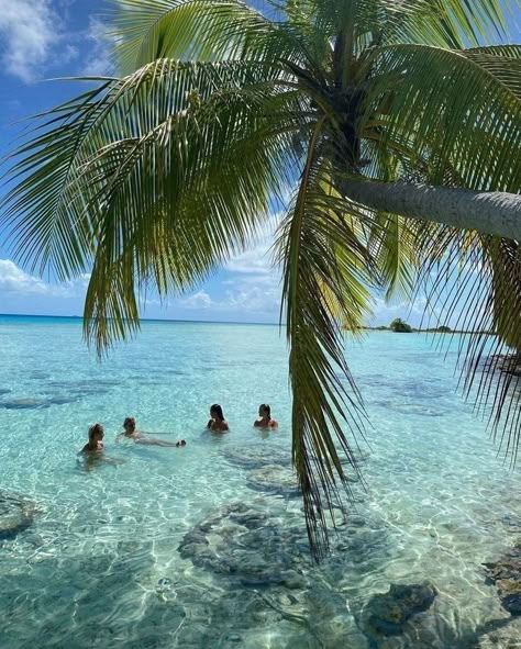 Summer Feed, Hawaii Aesthetic, Harbour Island, Coconut Girl, Island Girl, Summer Dream, Summer Pictures, Tropical Islands, Aesthetic Summer