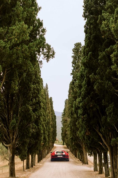 Hotel Driveway, Italian Cypress, Italy Destinations, Italian Country, Belmond Hotels, Italian Cities, Ultimate Road Trip, Tuscan Countryside, Toscana Italia