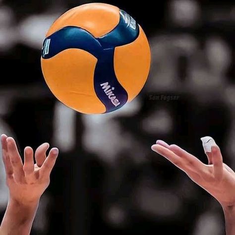 Bola Volly Aesthetic, Ariana Grande Grammys, Volleyball Wallpaper, Volleyball Pictures, Sports Aesthetic, Volley Ball, A Series Of Unfortunate Events, Soccer Ball, Ariana Grande