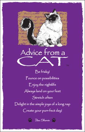 Advice from a Cat – Witches Of The Craft® 365 Jar, Totem Animals, Animal Spirit Guides, Power Animal, Animal Spirit, Spirit Animals, Animal Totems, Cat Quotes, Advice Quotes