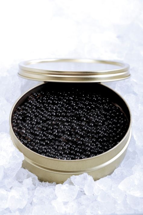 RUSSIAN firms will be banned from selling caviar, wood and silver to Britain under a new trade crackdown. Vladimir Putin and his Ukraine invasion partner Belarus will also face high tariffs on diamonds and rubber. Foreign Secretary Liz Truss said: “Today��’s sanctions hits the generals and defence companies that have blood on their hands.” A […] Beluga Caviar, Fish Ball, Plenty Of Fish, Fancy Food, Black Caviar, Fried Fish, Health Benefits, A Table, The Good Place