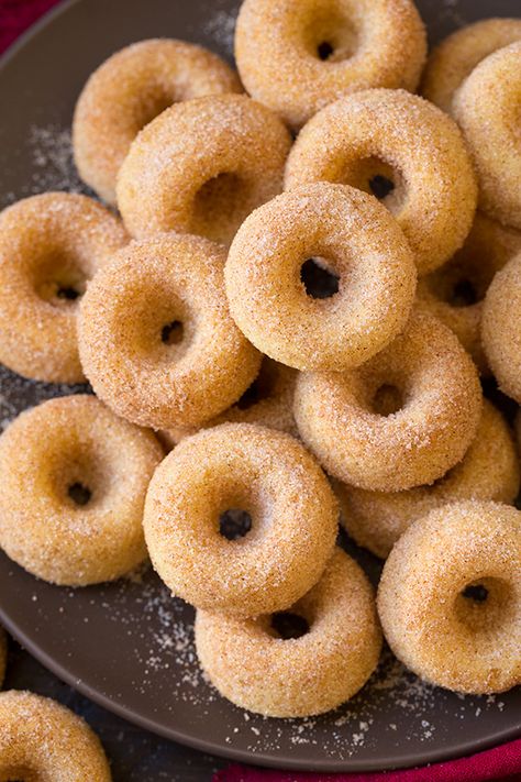 Baked Cinnamon Sugar Mini Donuts - Do you remember those little frozen Morton cinnamon donuts??  OMG!  They were so good!  These remind me of those so long ago... Mini Donuts Recipe, Donut Maker Recipes, Sugar Donuts Recipe, Mini Donut Recipes, Mini Donuts Maker, Doughnut Recipe Easy, Baked Donut, Doughnut Recipes, Homemade Donuts Recipe