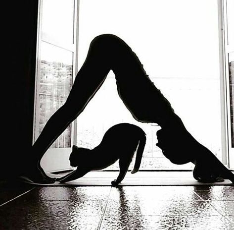 Photo Yoga, Yoga Books, Partner Yoga, Cat Yoga, Yoga Exercises, Pose Yoga, Yoga Photography, Pranayama, Jolie Photo