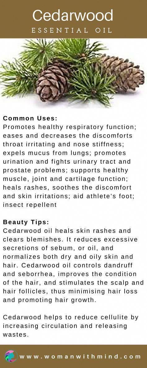 Very Helpful Essential Oil Strategies For essential oils blends for skin Essential Oils For Pain, Healing Essential Oils, Essential Oils Guide, Cedarwood Oil, Cedarwood Essential Oil, Healing Oils, Young Living Oils, Oil Uses, Essential Oil Uses