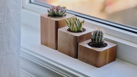 🌿🌟 Add a touch of elegance to your space with our unique set of three solid wood succulent planters! 🌟🌿 Showcase your succulents in style with these beautifully handcrafted planters. Made from high-quality solid wood, each planter features a minimalist design that stands out from the rest. Perfect for windowsills, desks, or any corner that needs a splash of greenery. #SucculentPlanters #WoodenPlanters #HomeDecor #Handcrafted #IndoorPlants #MinimalistDesign #NaturalBeauty #PlantLovers #Green... Wood Succulent Planter, Pot Diy, Wooden Ideas, Plant Pot Diy, Succulent Planters, Wooden Planter, Wooden Planters, Succulent Planter, Plant Holders