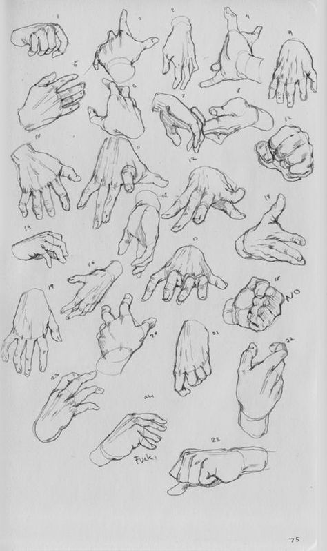 Hand Studies, Tre Kunst, Human Anatomy Drawing, Hand Drawing Reference, Human Anatomy Art, Anatomy Sketches, Body Reference Drawing, Hand Reference, Hand Sketch