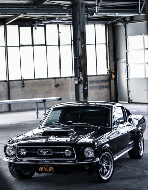 1968 Ford Mustang Fastback Shelby Gt500, Mustang Car Aesthetic, 67 Ford Mustang, 68 Ford Mustang, 1968 Ford Mustang Fastback, Ford Mustang 1967, 67 Mustang, Muscle Cars Mustang, Ford Mustang Shelby Gt