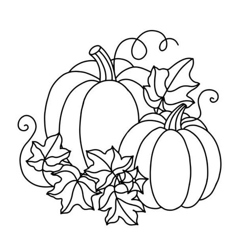 Leaves Outline Drawing, Drawing Of Pumpkin, Leaves Outline, Freehand Sketch, Pumpkin Vegetable, Fall Quilt Patterns, Pumpkins And Leaves, Pumpkin Outline, Fall Drawings