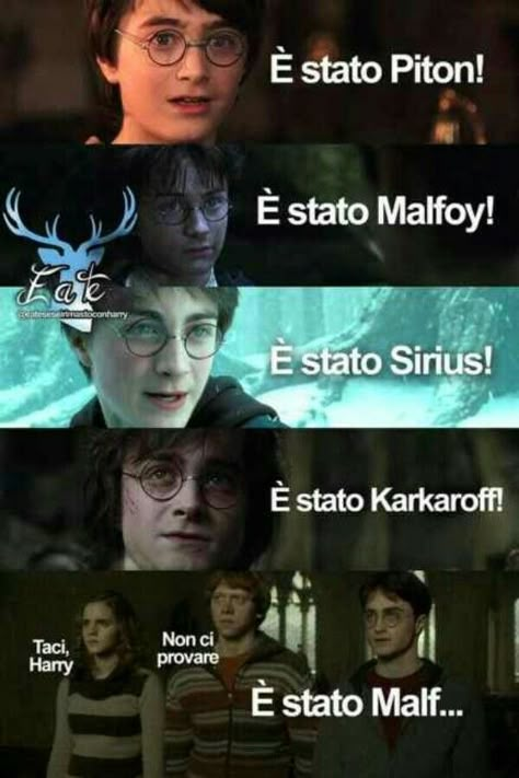 Meme Harry Potter, Harry Potter Quiz, Harry Potte, Harry Potter Tumblr, George Weasley, Harry Potter 2, Harry Potter Anime, Funny Photo, Harry Potter Love