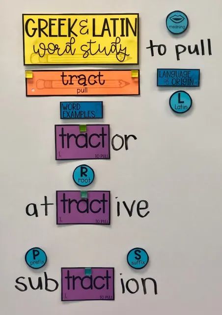 Morphology Word Wall, Morphology 3rd Grade, Greek And Latin Roots Anchor Chart, Latin Roots Anchor Chart, Root Words Activities, Latin Root Words, Vocabulary Instruction, 6th Grade Reading, 5th Grade Ela