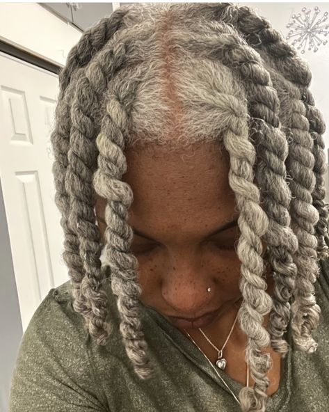 2 Stand Twist, Two Strands Twist, Grey Natural Hair, Grey Locs, White Hair Beauty, Grey Hair Beard, Twist Extensions, Silver Gray Hair, Natural Haircuts