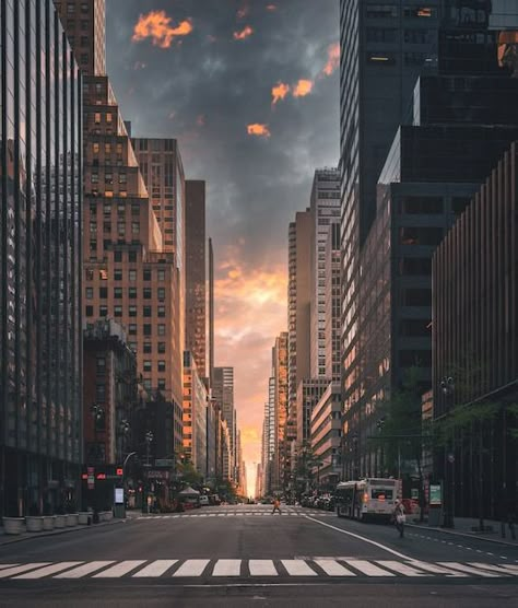 Photo street in new york city view beaut... | Premium Photo #Freepik #photo #new-york #street-view #panorama #street Parrot Logo, Art Igcse, Scene People, Mandala Art Design, Art Assignments, Usa New York, Cityscape Photography, James Jean, Sketchbook Inspo