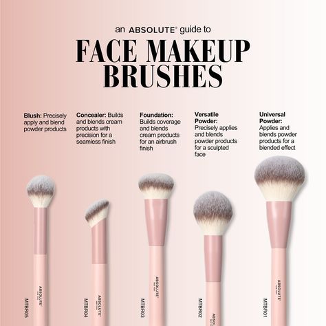 SAVE FOR LATER ➡ Makeup Brushes 101 🩷 Learning the differences between makeup brushes can be hard but we’re here to help 🥰 Shop our NEW Pro Makeup Brush Collection in our bio! #makeupbrushes #makeupbrush #makeuphacks #makeupbrushguide #guide #makeup101 #beginnersmakeup #makeuptutorial Makeup Brush Guide, Makeup Brush Uses, Brush Guide, Powder Products, Makeup Brushes Guide, Makeup 101, Face Makeup Brush, Make Up Brush, Makeup Guide