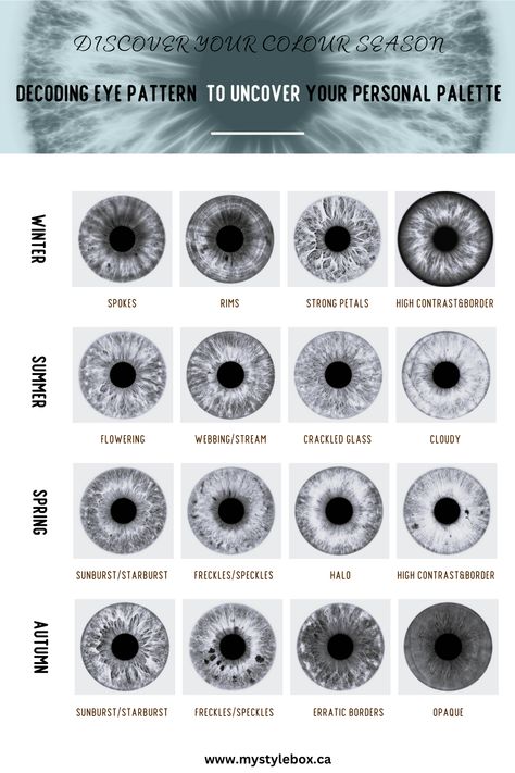 Decoding Eye Pattern to Uncover Your Personal Colour Palette Eye Season Iridology, Iris Patterns Eye, Seasonal Eye Patterns, Summer Eye Patterns, Spring Eye Pattern Color Analysis, Winter Eye Pattern Color Analysis, Summer Eye Pattern Color Analysis, Color Season Eye Pattern, Seasonal Color Analysis Eyes