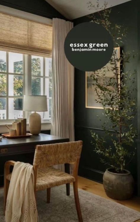 Essex Benjamin Moore, Dark Green Paint Scheme, Dark Forest Green Accent Wall, Green Walls Black Furniture, Green Walls With Green Trim, Curved Accent Wall, Benjamin Moore Essex Green Bedroom, Salamander Sherwin Williams, Dark Hunter Green Paint