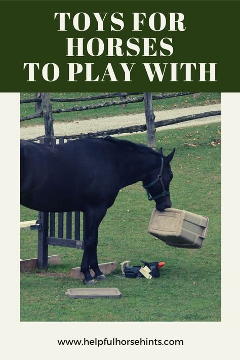 Homemade Horse Toys, Bored Horse Toys Diy, Horse Enrichment Ideas Diy, Horse Pasture Enrichment, Toys For Donkeys, Horse Ideas Creative, Diy Horse Toys For Horses, Diy Horse Enrichment, Diy Toys For Horses