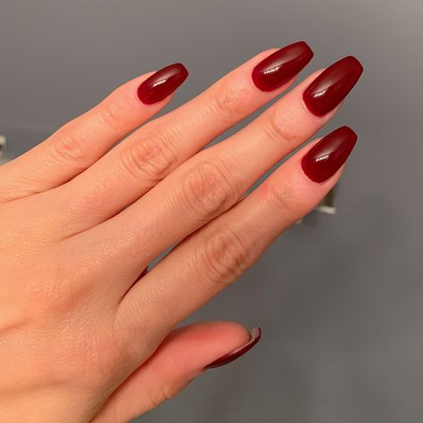 Dusky Skin Nails, Ox Blood Nails, Red Shellac Nails, Red Shellac, Gel Nails Red, Blood Nails, Dusky Skin, Nail Paints, Nails Gel Nails