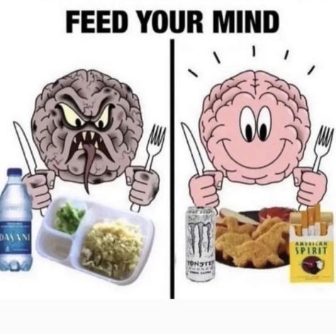 Feed Your Mind, Office Memes, Personalized Nutrition, Absolut Vodka, Silly Images, Silly Goofy, Love Memes, Silly Me, What’s Going On