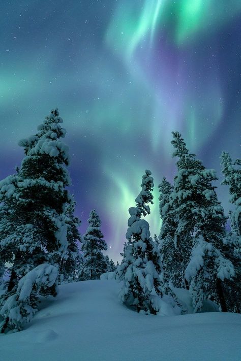 Northern Lights Photography, Lapland Finland, Aurora Borealis Northern Lights, Image Nature, Pretty Landscapes, Gifts For Boyfriend, The Northern Lights, Winter Scenery, Christmas Gifts For Boyfriend