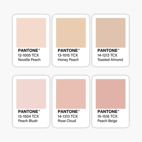 A peachy pink pack of Pantones! (say that three times fast) • Millions of unique designs by independent artists. Find your thing. Aestethic Color Palette, Champagne Palette, Pink Pantone, Nude Color Palette, Color Stickers, Pantone Palette, Hex Color, Palette Design, Hex Codes