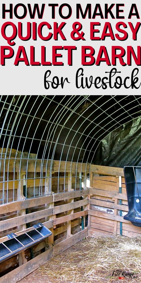 Easy Livestock Shelter, Donkey House Diy, Livestock Dog Shelter, Diy Horse Shelter Run In Shed, Diy Animal Shelter Ideas, Pallet Goat Barn, Horse Shelter Pallets, Shelter For Deer, Pallet Animal Pen